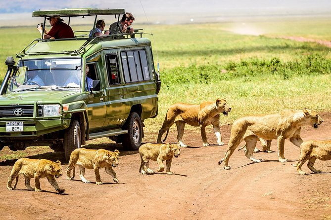 Arusha Safari (Arusha National Park)