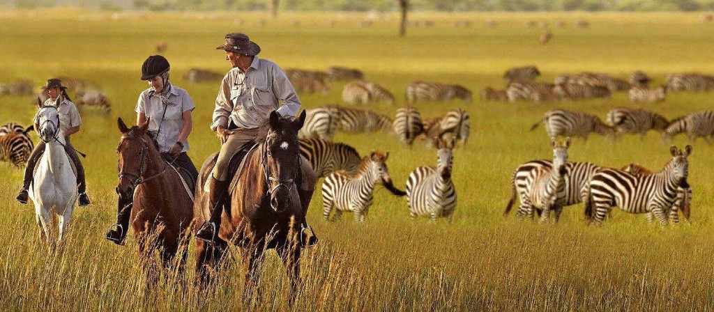 Horseback Riding (Arusha)