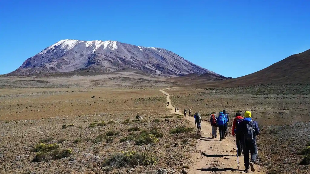 Lemosho Route Premium Climb
