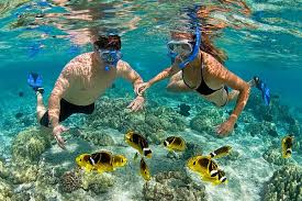 Mnemba Snorkeling Day